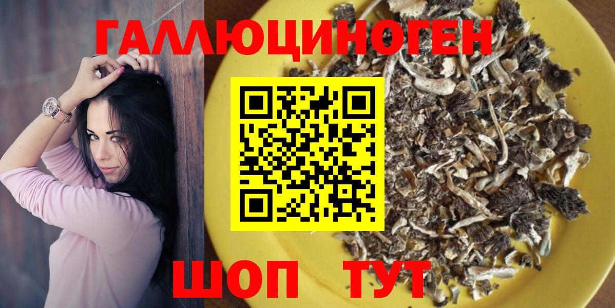 Псилоцибиновые грибы GOLDEN TEACHER Великий Устюг