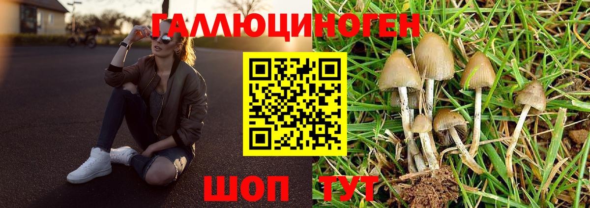 Великий Устюг  Псилоцибиновые грибы GOLDEN TEACHER  Вход с VPN 